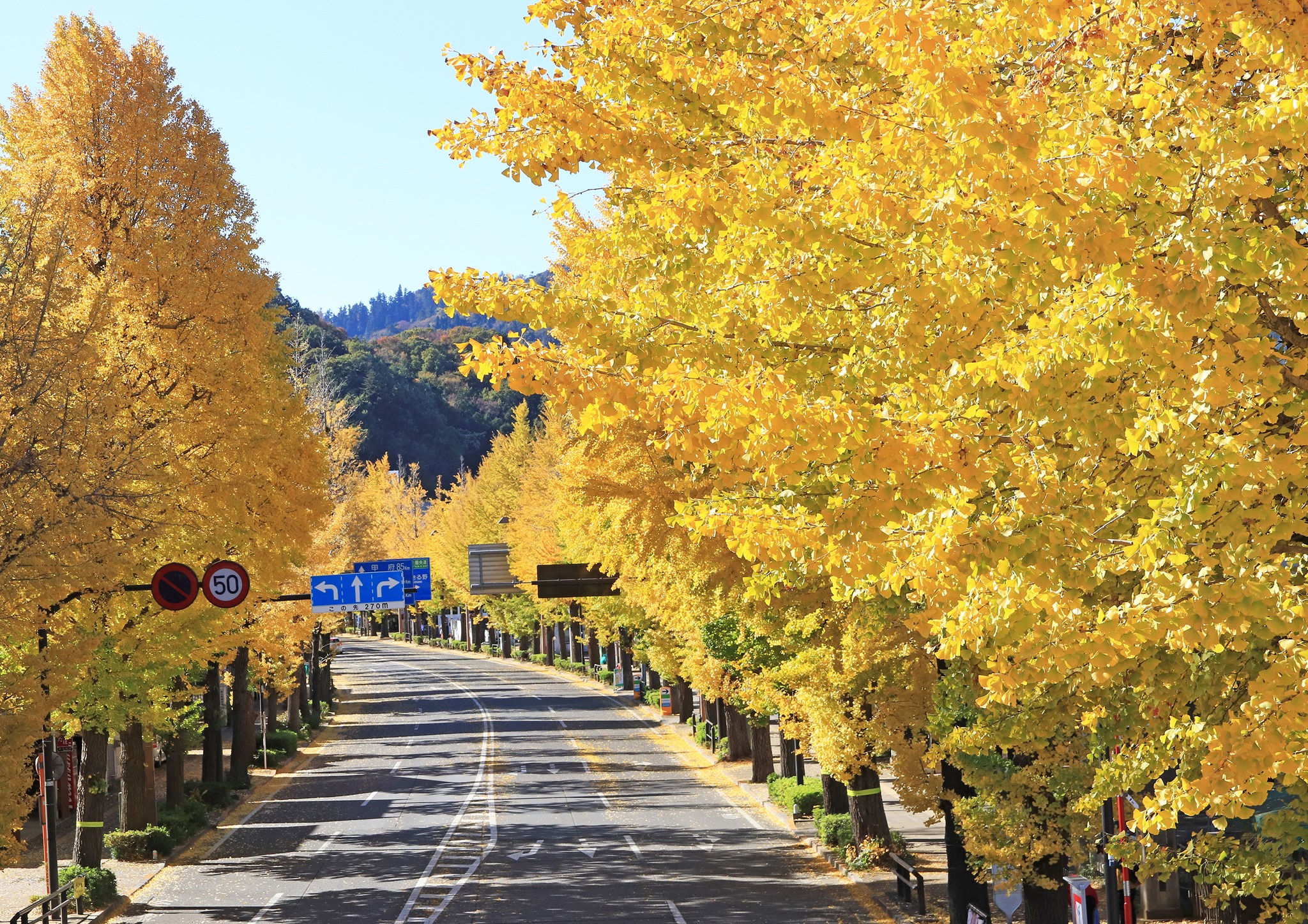 Hachioji-ichou