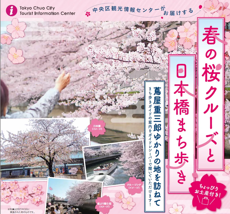 Sakura Cruise Sakura Cruise