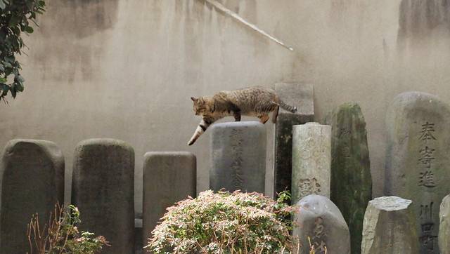 shunbun-no-hi-jour-ferie